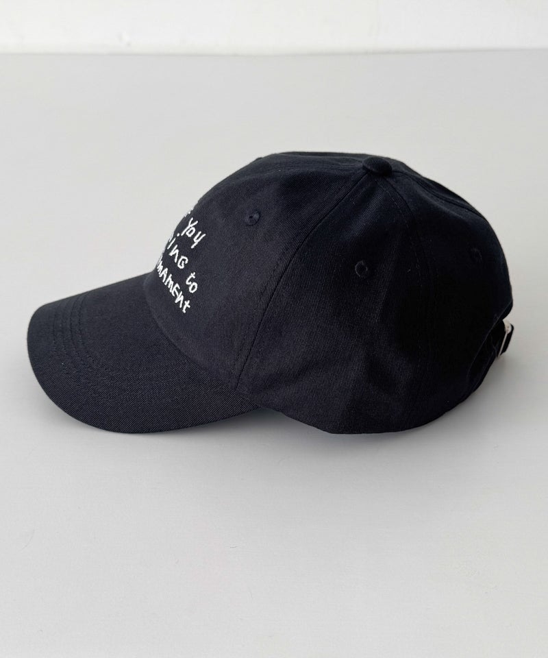 Lakey ParkLiVE LiKEロゴCAP | CANAL JEAN（キャナルジーン）公式